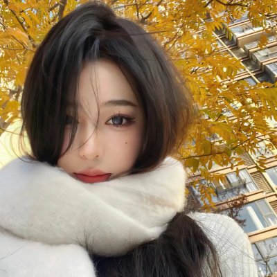 小狗波图 在线观看