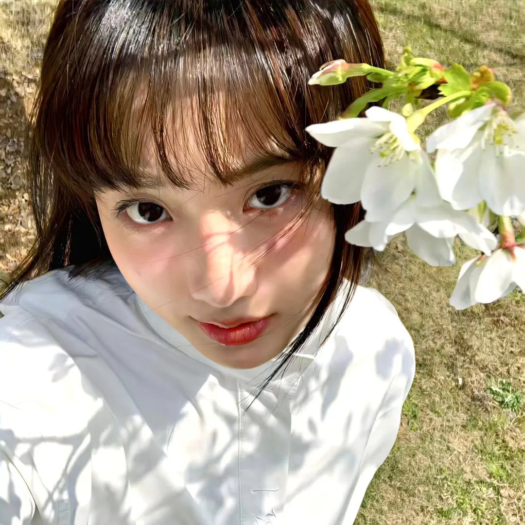 红灯梦 在线观看